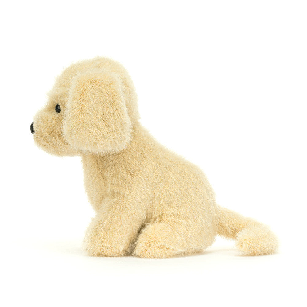 Golden Puppy